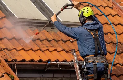 Démoussage et hydrofuge de toiture à Lascaux